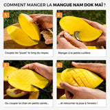 Mangue Nam Dok Maï
