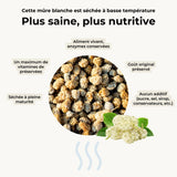 Mûre blanche séchée
