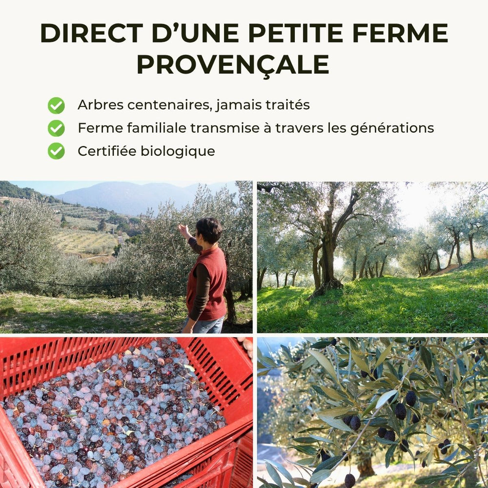 Olive de Nyons