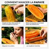Papaye Golden