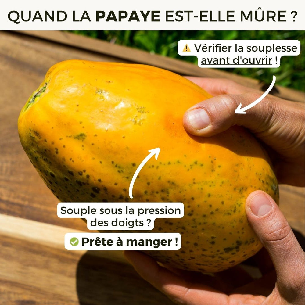 Papaye Golden