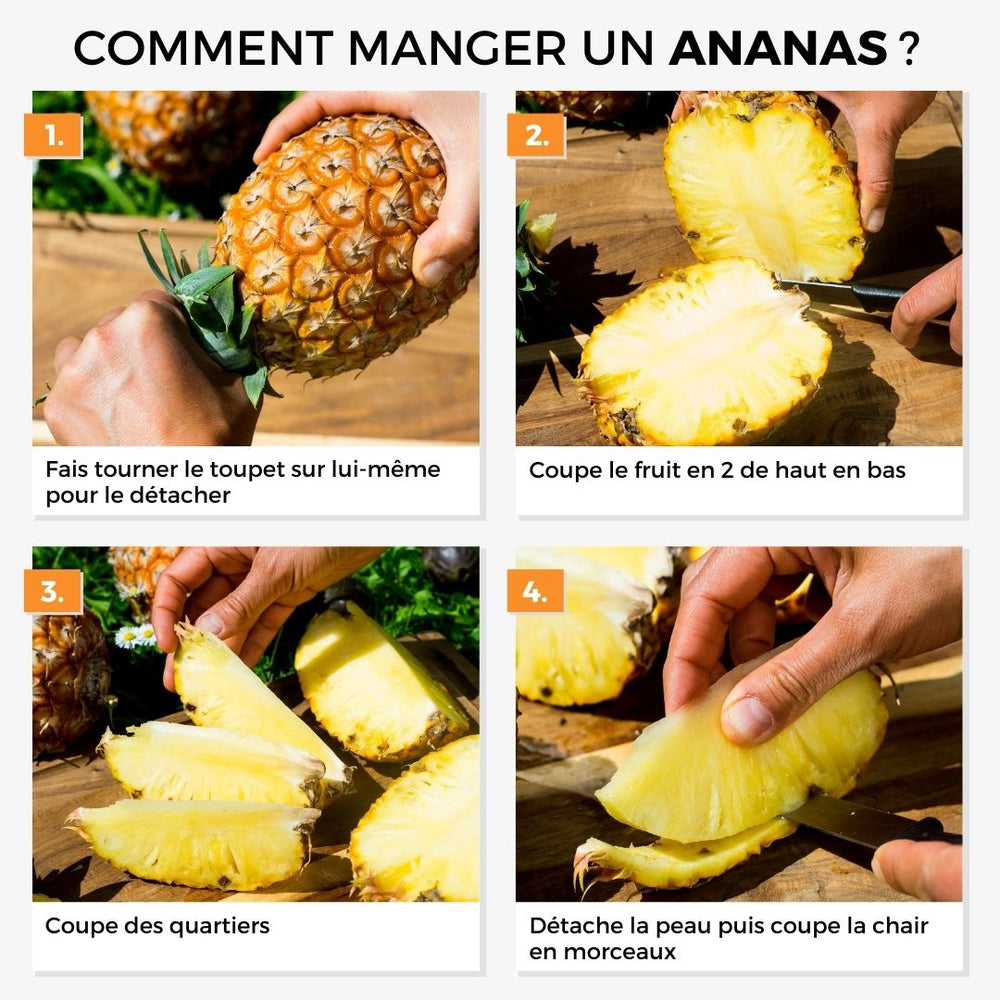 Ananas Cayenne
