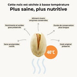 Pistache avec coque