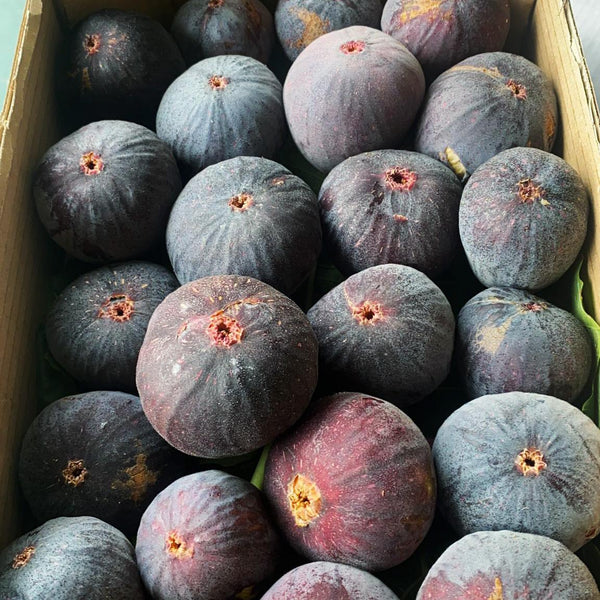 Figue fraîche noire