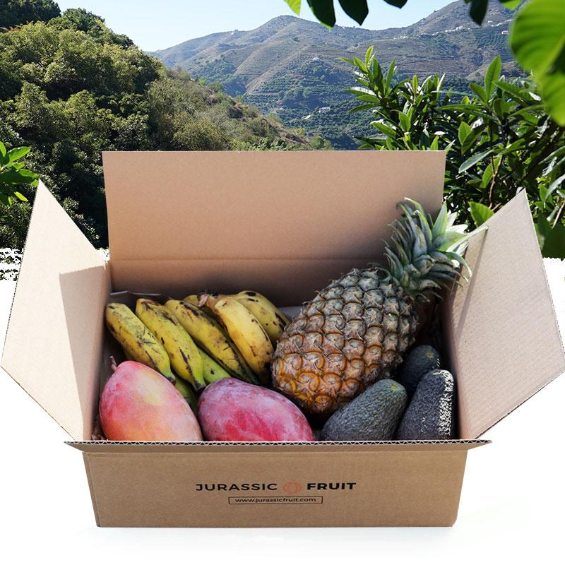 Fruit Bestsellers Box