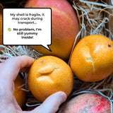 Sweet Granadilla