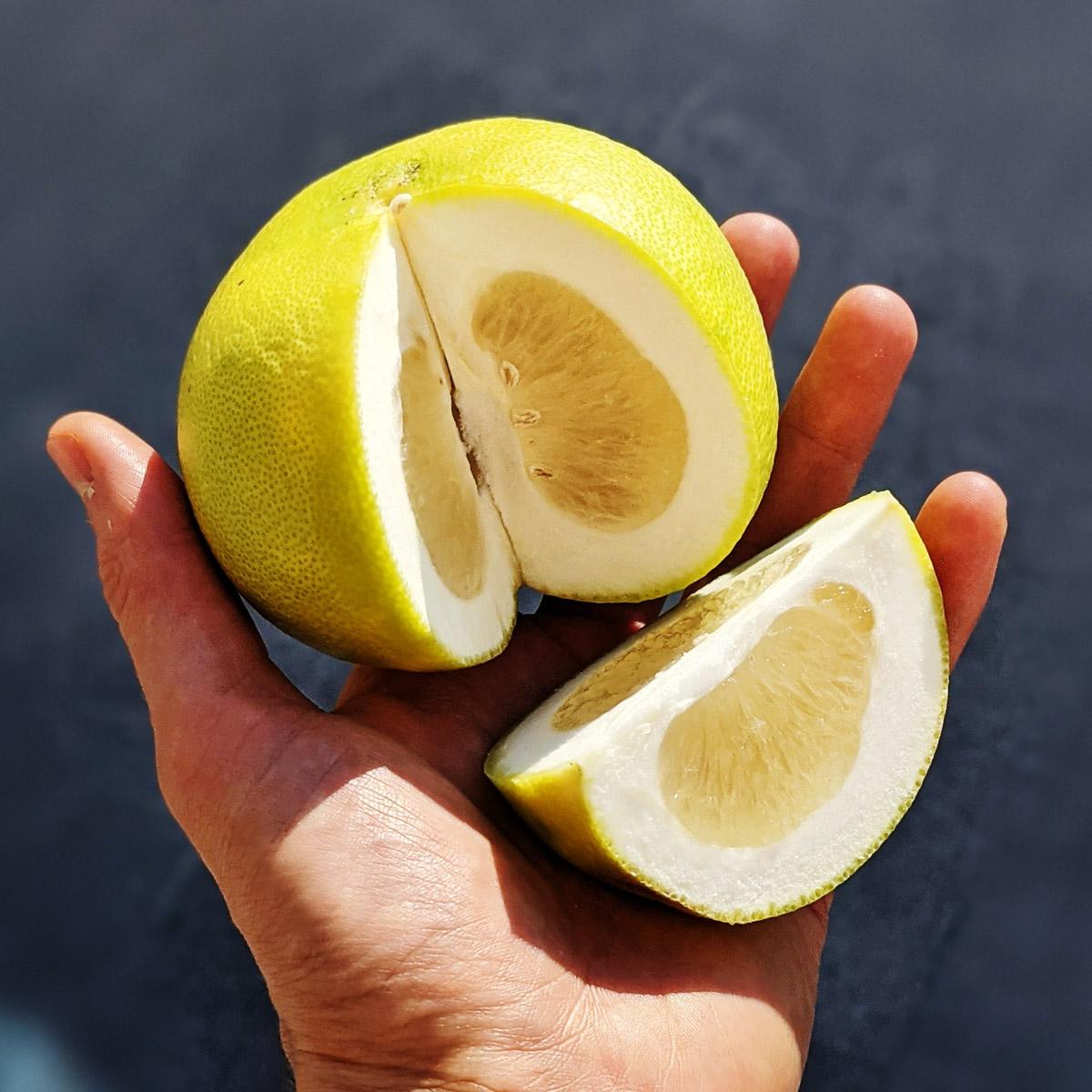 Grapefruit weiß süß Sweetie