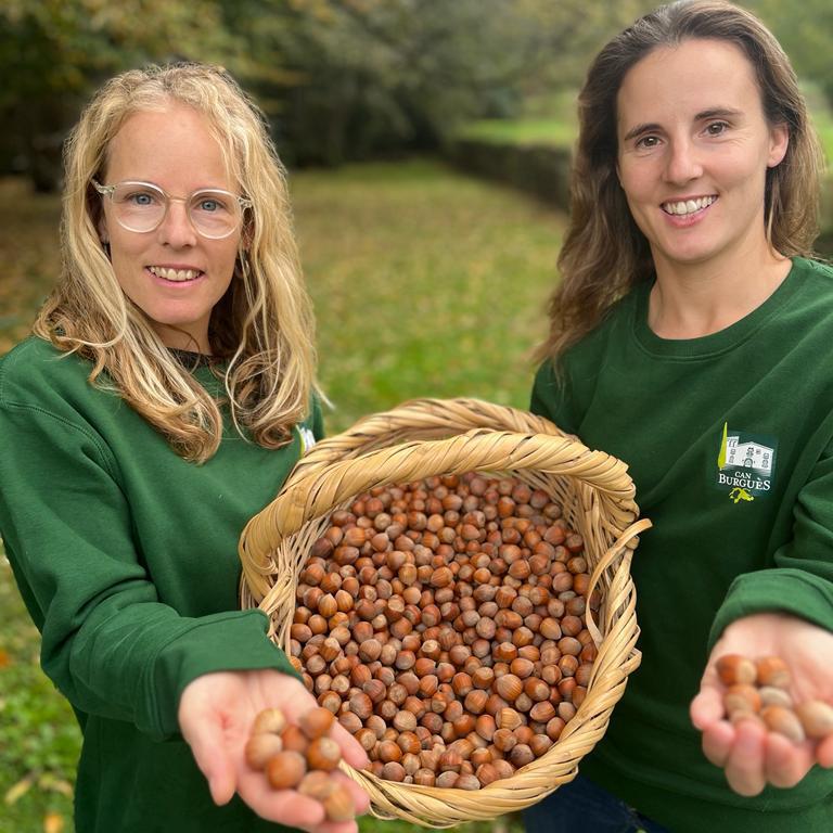 Hazelnut