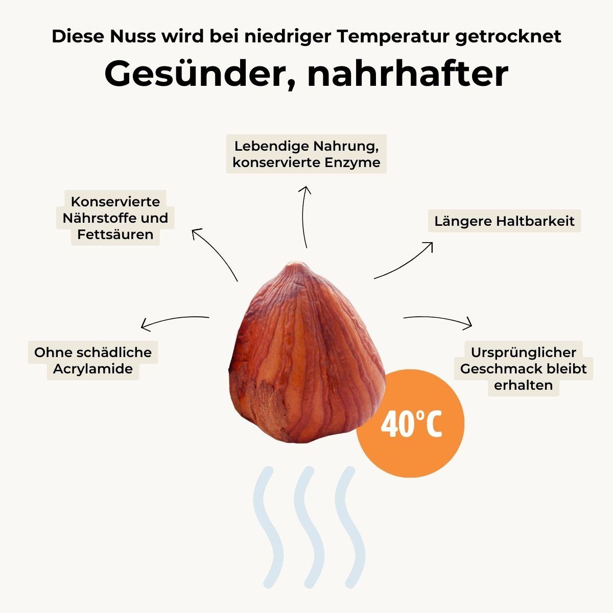 Hazelnut