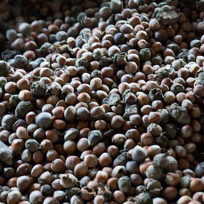 Hazelnut