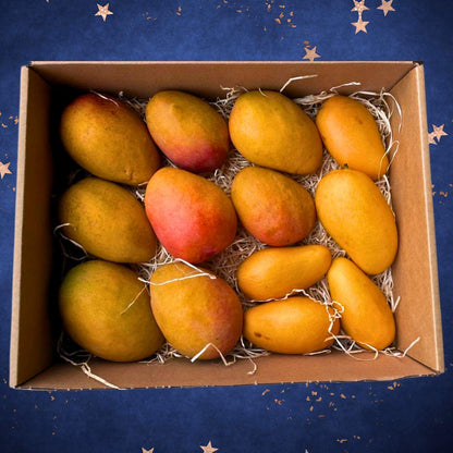 Mango Feiertagebox