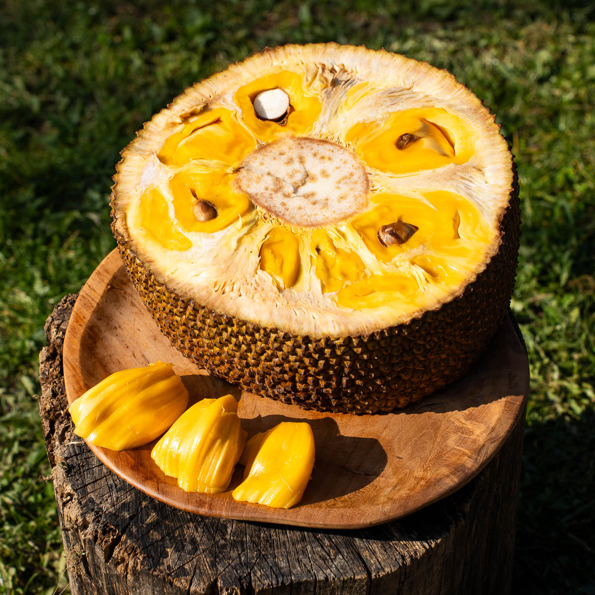 Jackfrucht reif