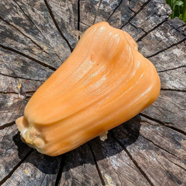 Jackfruit ripe Red Suria