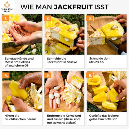 Jackfruit ripe