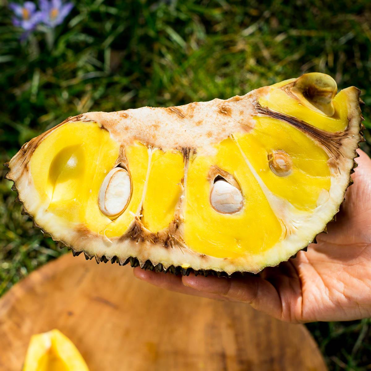 Jackfruit ripe