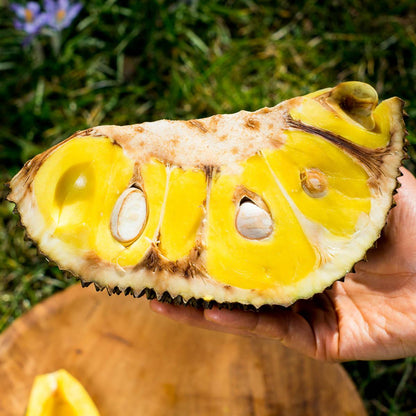 Jackfruit ripe