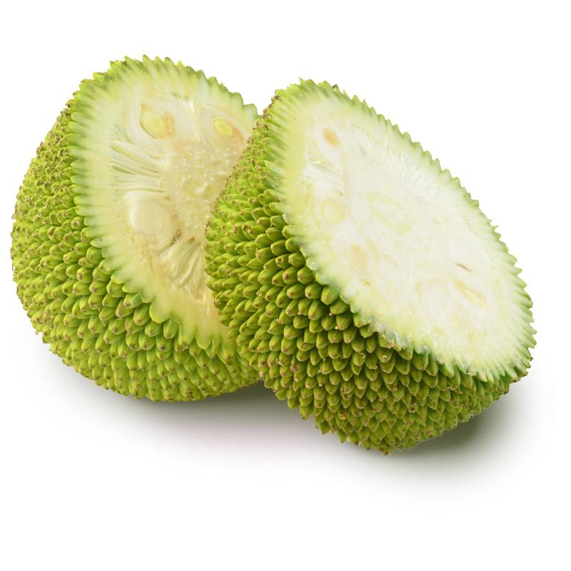 Jackfrucht jung unreif