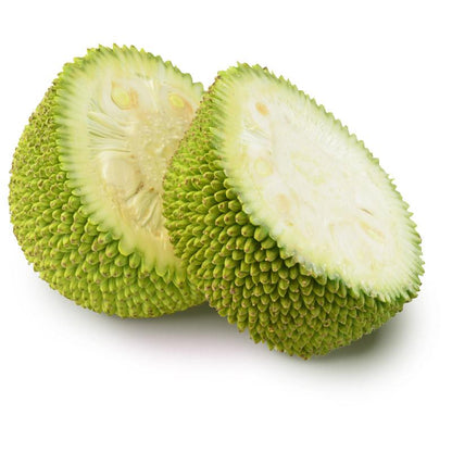 Jackfrucht jung unreif