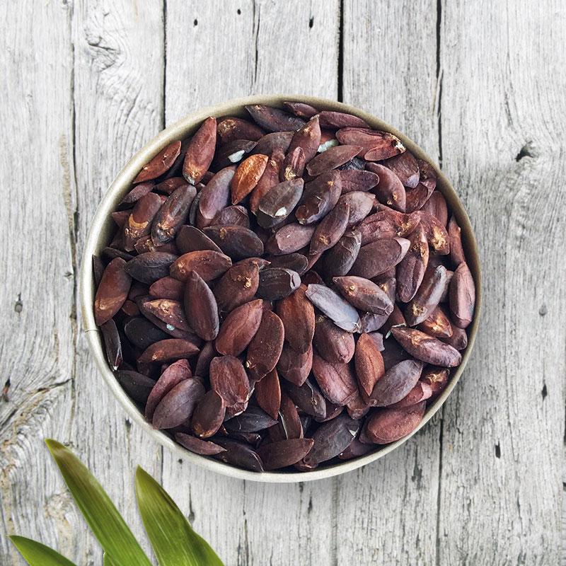 Kenari nut