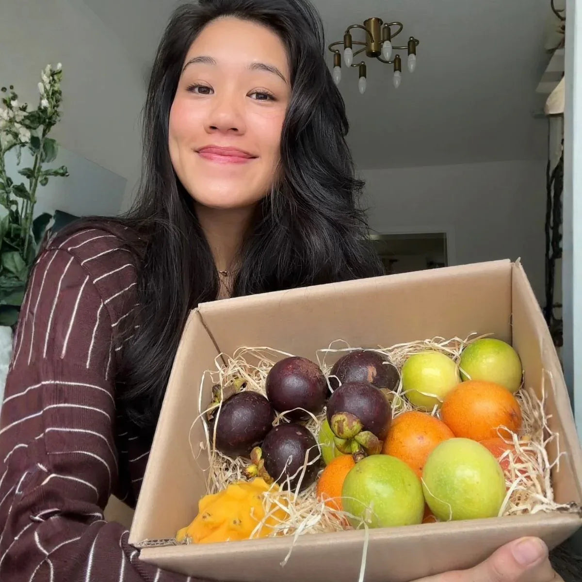 FRUITS　no95-98 Lala Box - buy at Jurassic Fruit