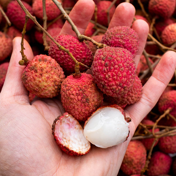 Litchi
