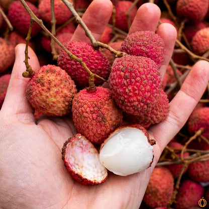 Lychee