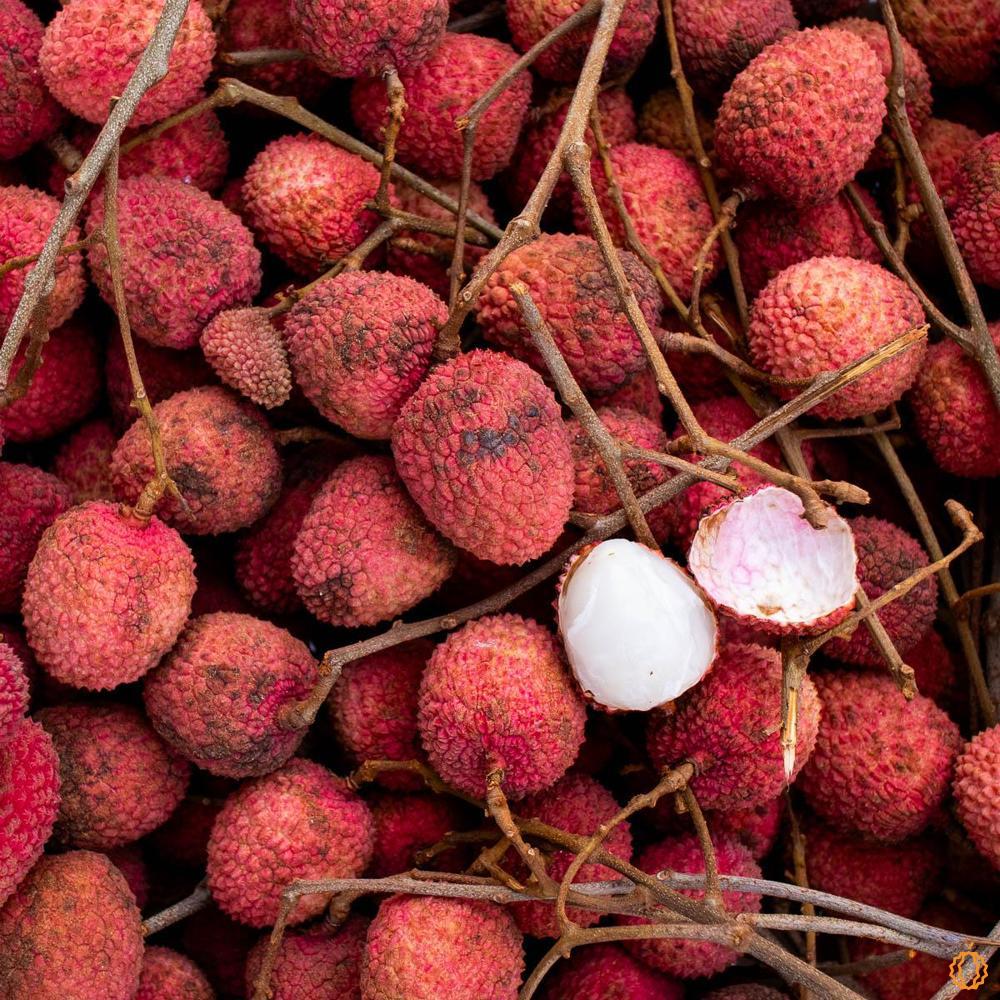 Lychee