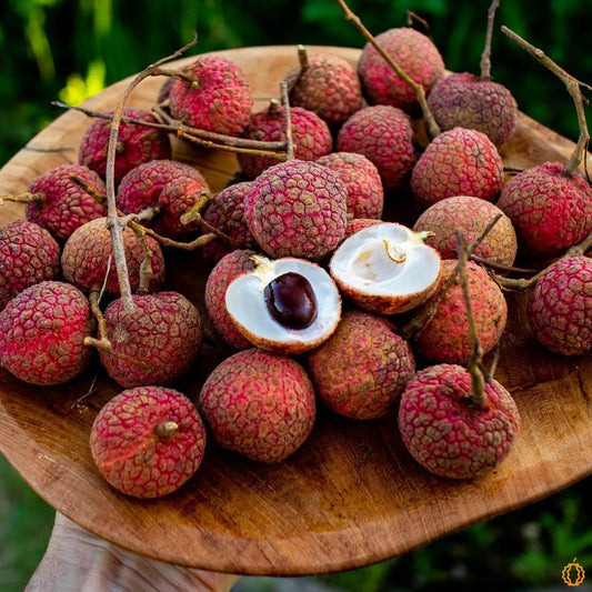 Litchi