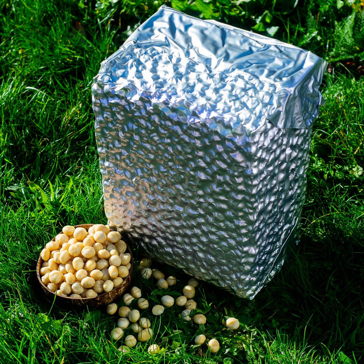 Macadamia nut