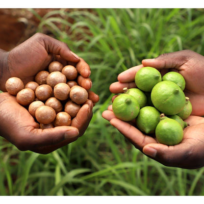 Macadamia nut