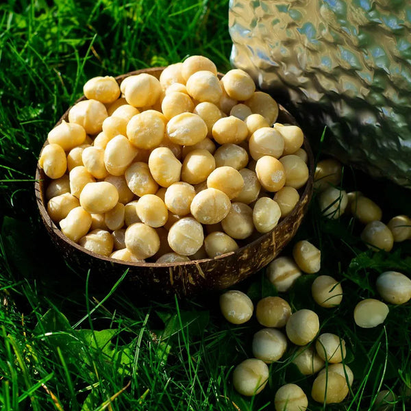 Macadamia nut