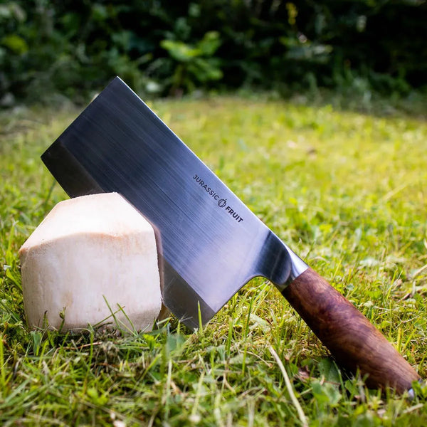 Machete for coconut 1st Choice Stainless Steel