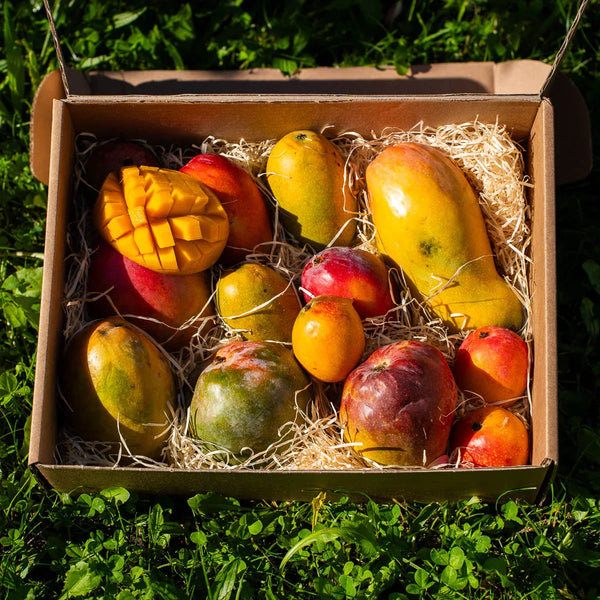 Mangue Box Mix