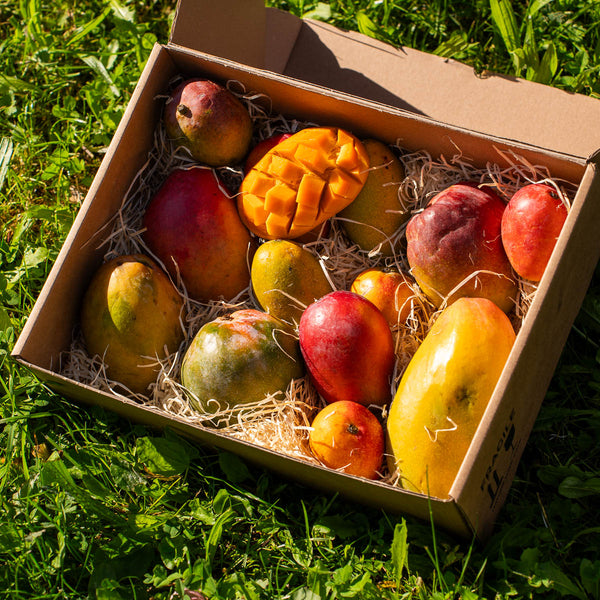 Box mix de mangues