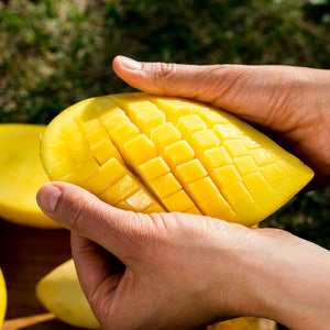 Schritt 3 – Option 2: Igelstil