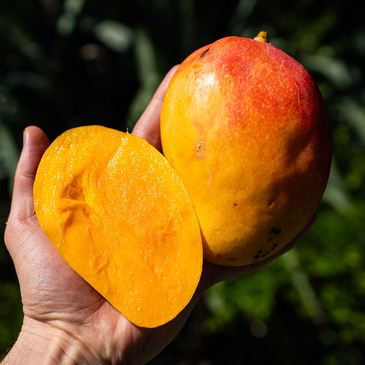 Mango Rosa de Pernambuco