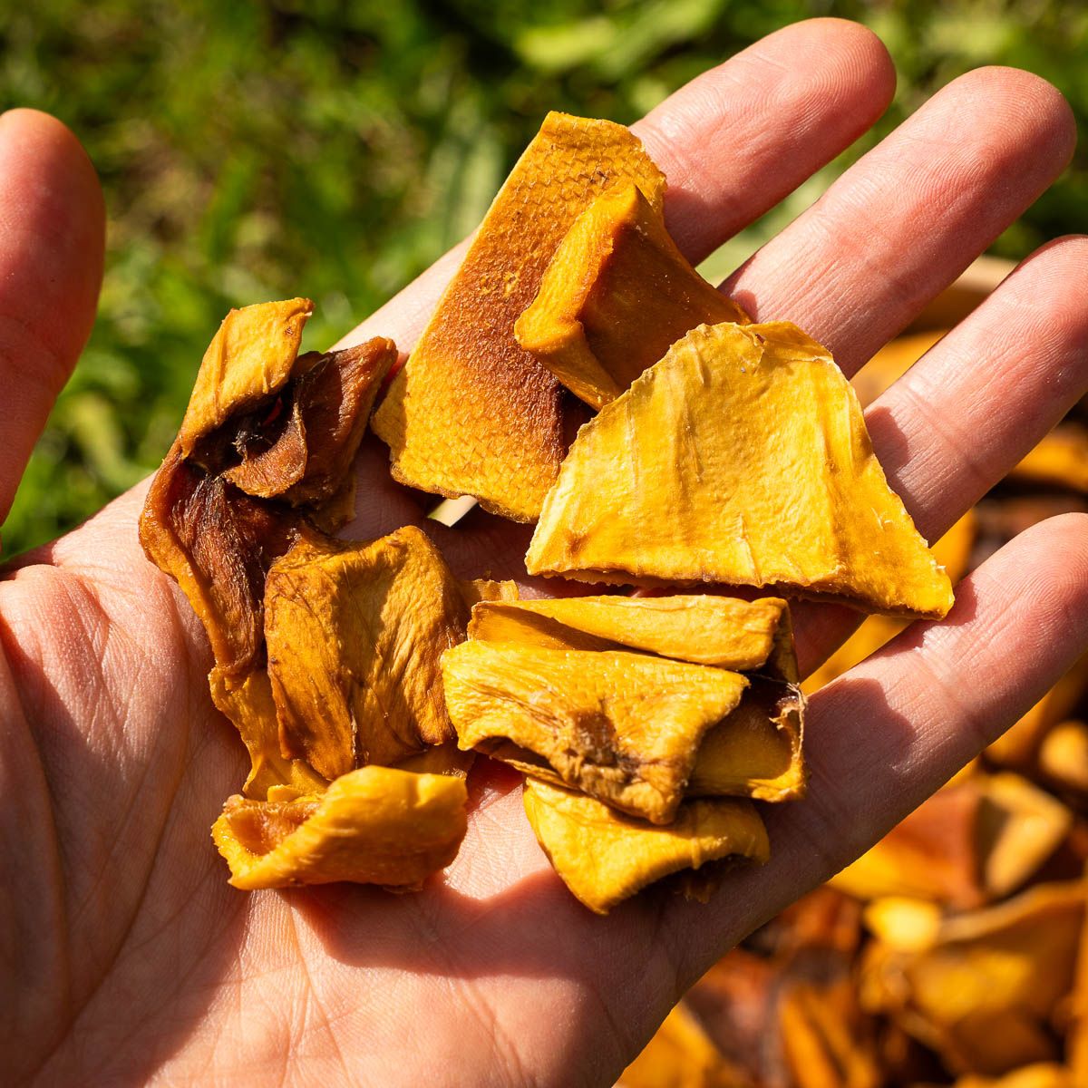 Mango Emerald dried in pieces