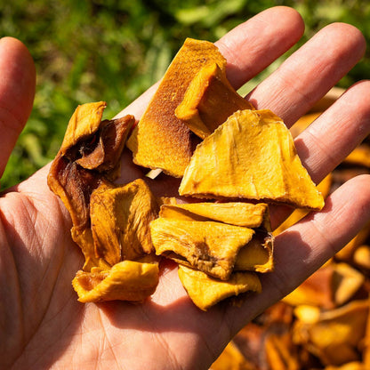 Mango Emerald dried in pieces