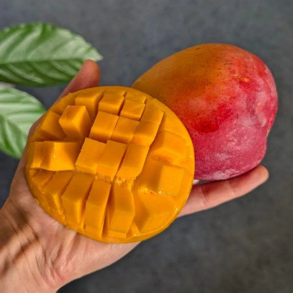 Mango Aya