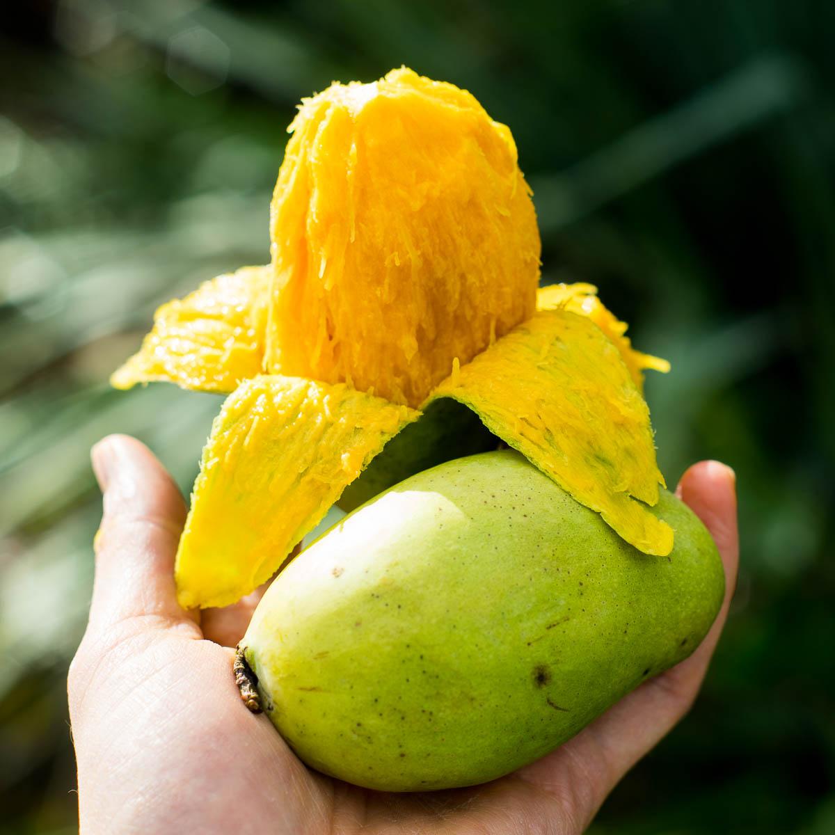 Mango Smaragd