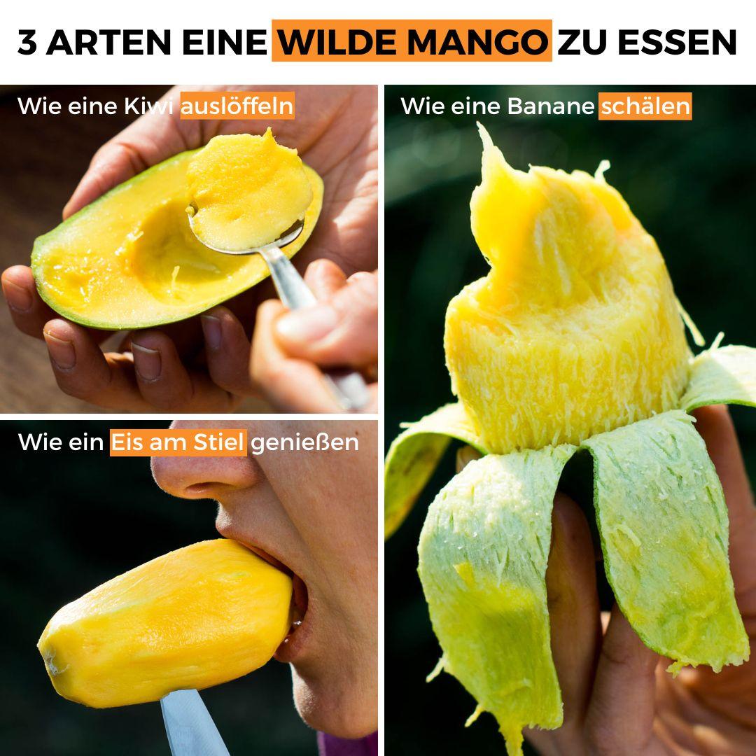 Mango Smaragd