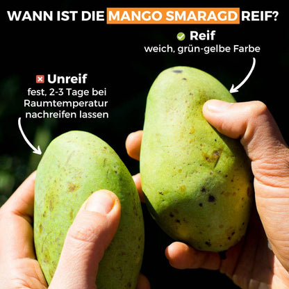 Mango Smaragd
