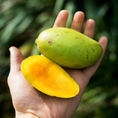 Mango Smaragd