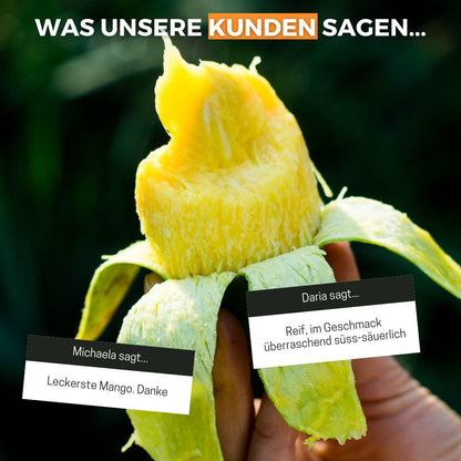 Mango Smaragd