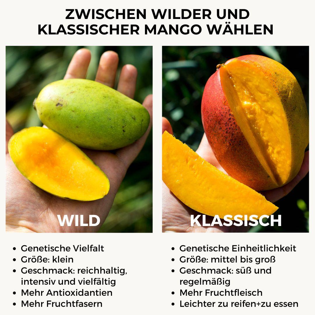 Mango Smaragd
