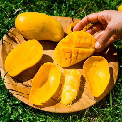 Mango Honey Ataulfo