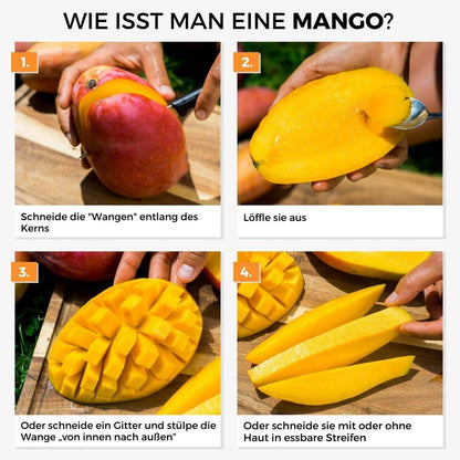 Mango Honey Ataulfo