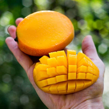 Mango Irwin