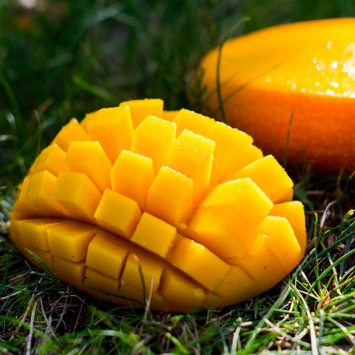 Mango Irwin