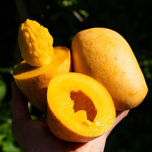Mango Kaew Kamin